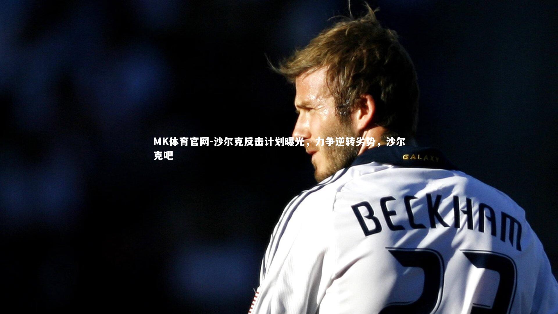 MK体育官网-沙尔克反击计划曝光,力争逆转劣势,沙尔克吧