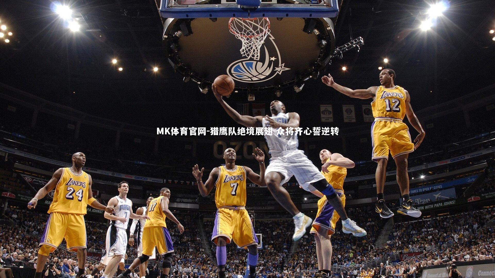 猎鹰队绝境展翅 众将齐心誓逆转