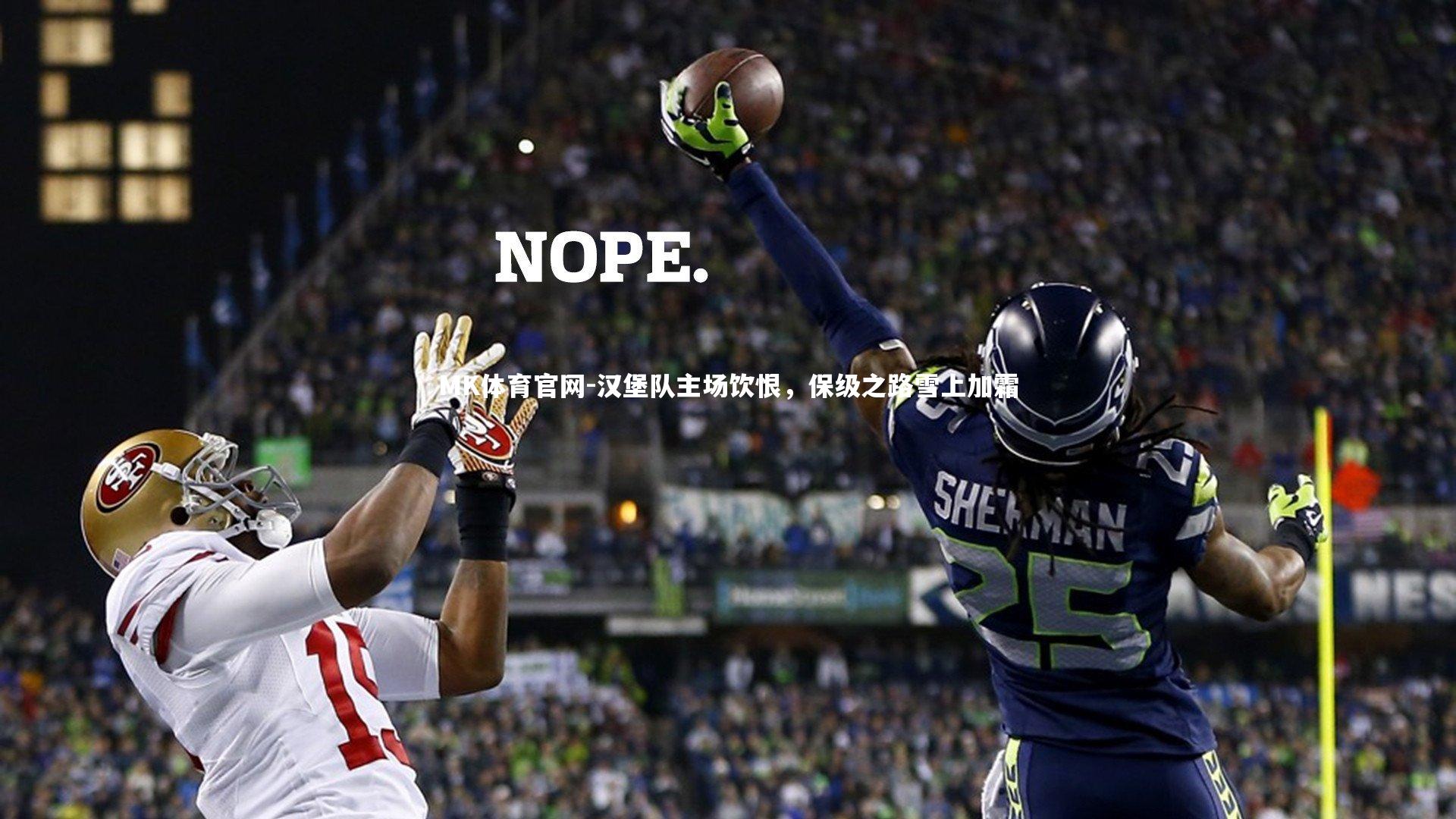 汉堡队主场饮恨，保级之路雪上加霜